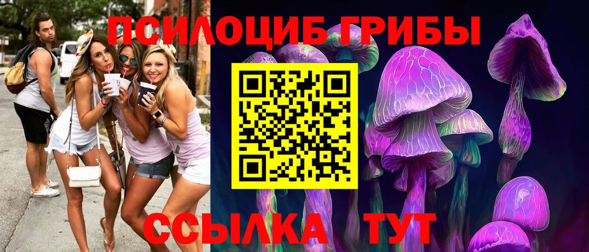 Псилоцибиновые грибы Magic Shrooms Долгопрудный