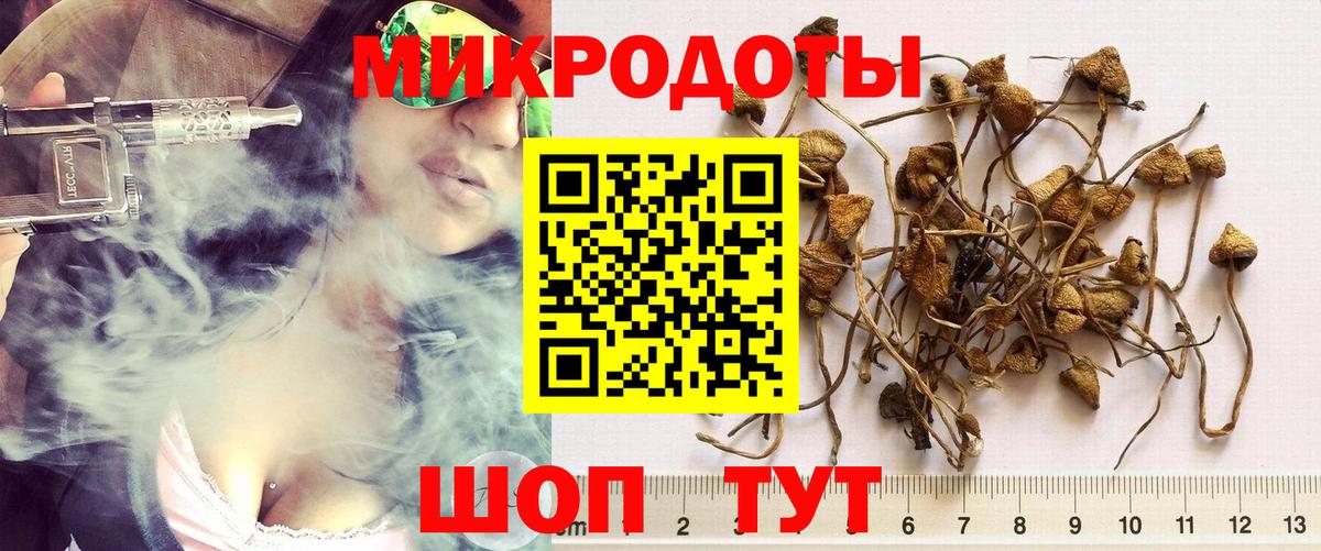 Долгопрудный  Галлюциногенные грибы мухоморы  Вход с VPN 